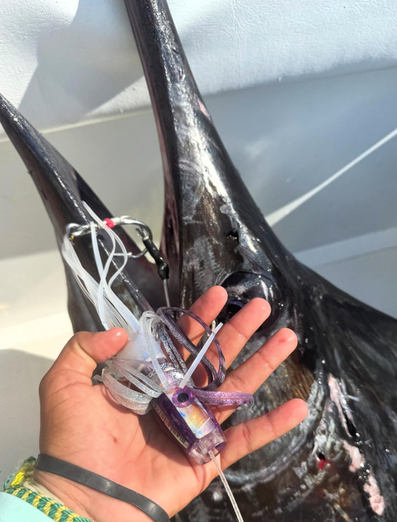 Manta Lures catch