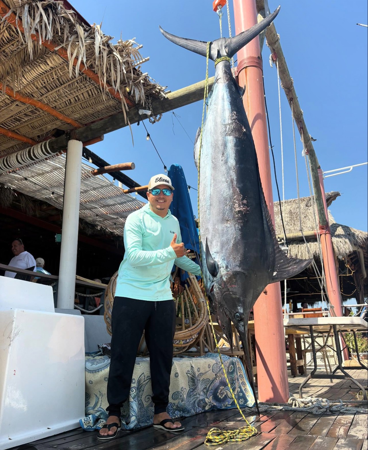 Marlin at the weigh station — a trophy off the open ocean
